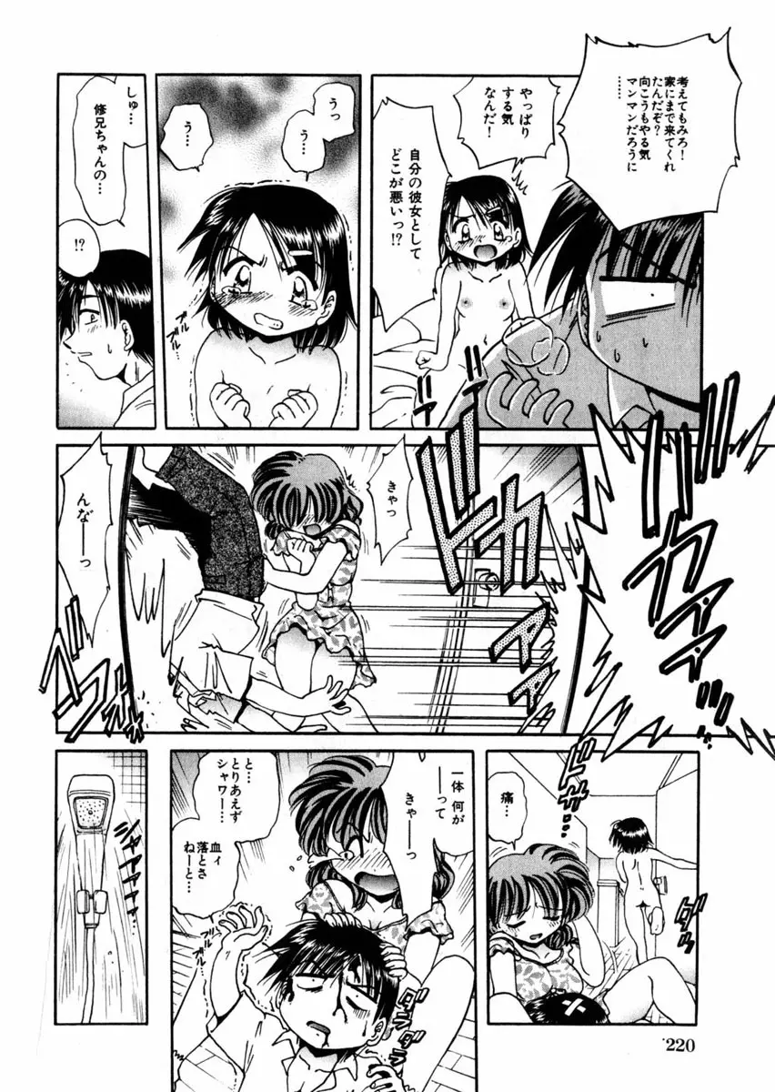 Comic Hime Dorobou 2004-09 Page.207