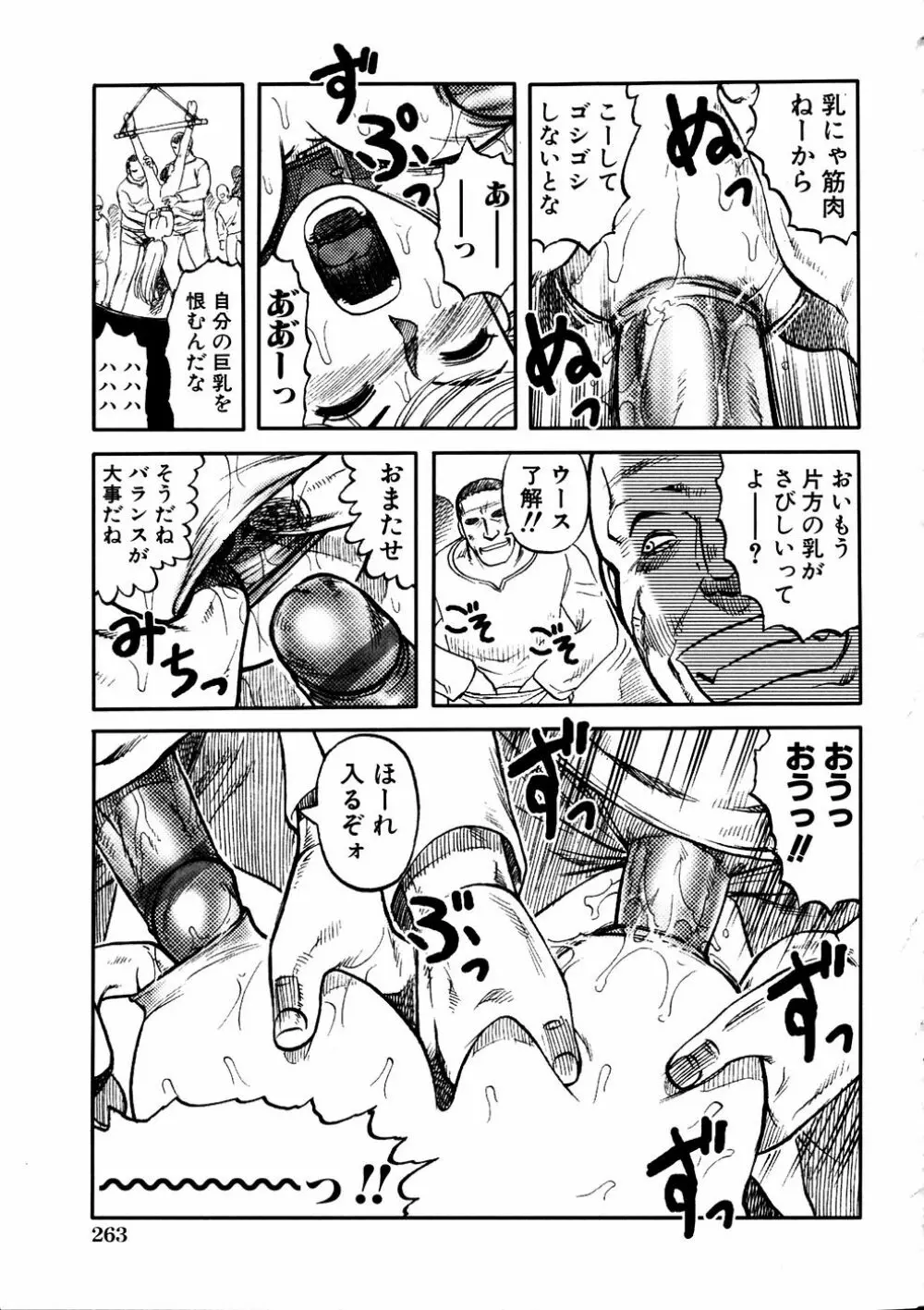 Comic Hime Dorobou 2006-11 Page.256