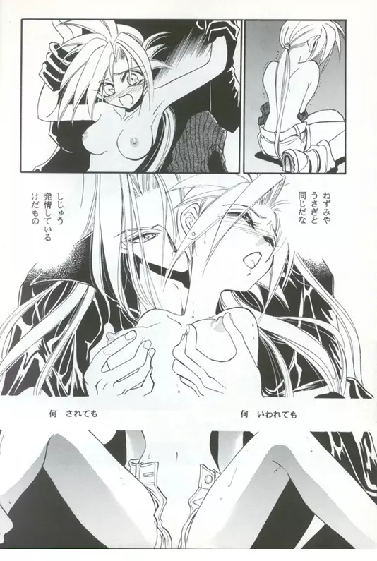 トルマリンローズ Page.6