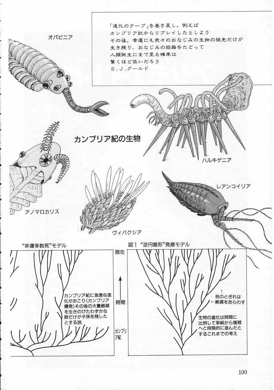 少女の適応と放散 Page.100