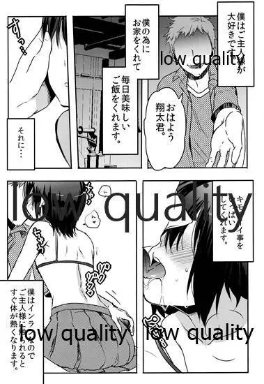 少年飼育日記 Page.20