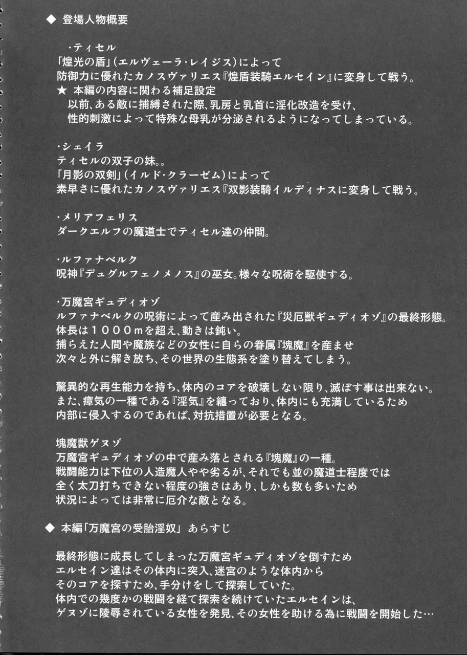 煌盾装騎エルセイン Vol.7 「万魔宮の受胎淫奴」 Page.3