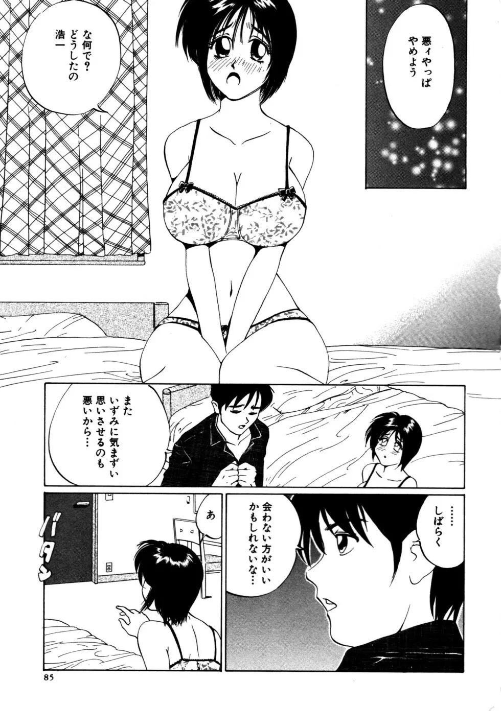 ぬくもりの記憶 Page.85