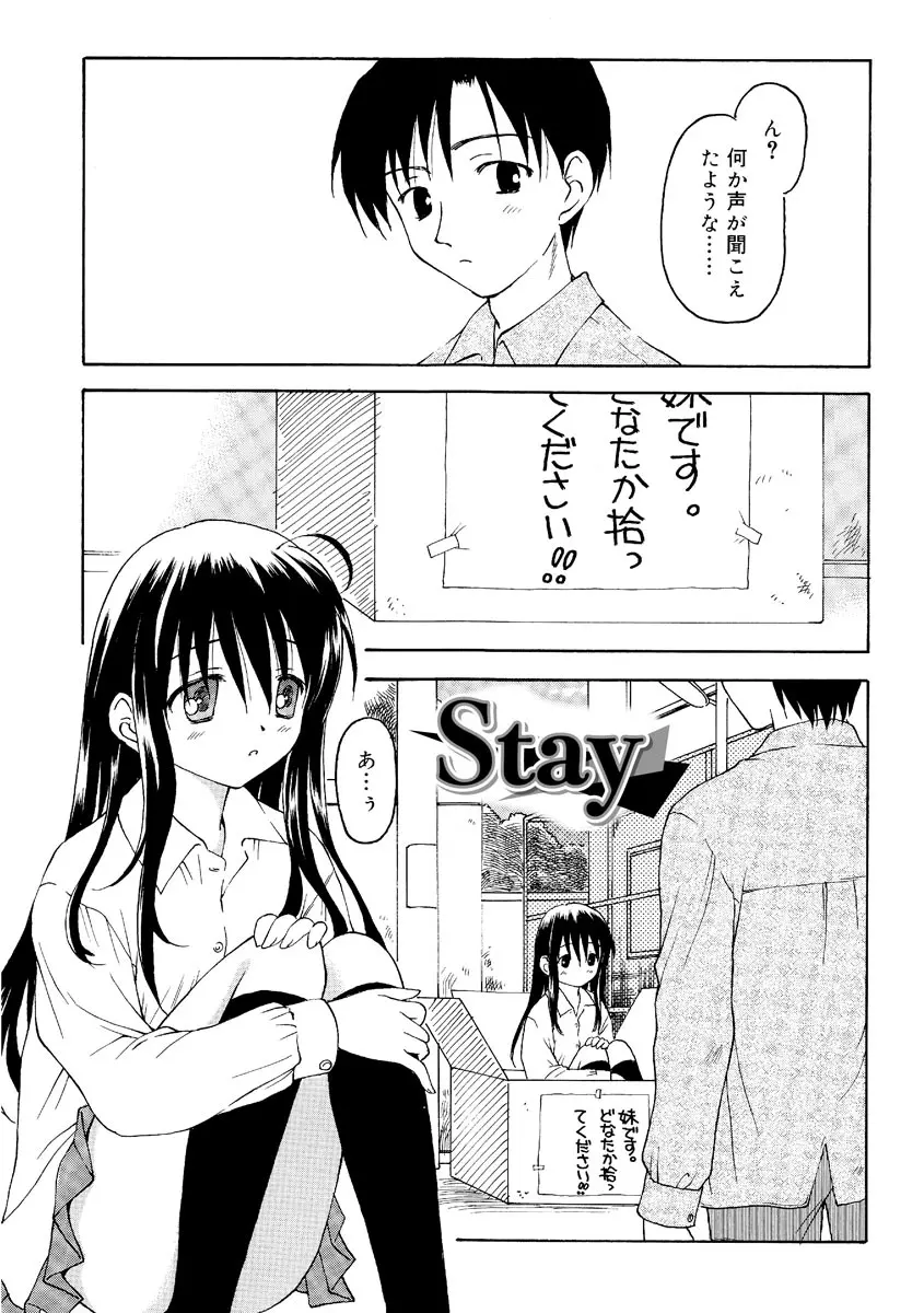 何度生まれ変わってもきっと Page.127