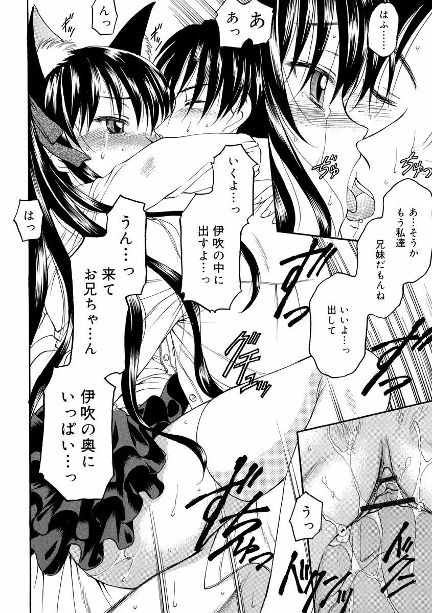 何度生まれ変わってもきっと Page.178