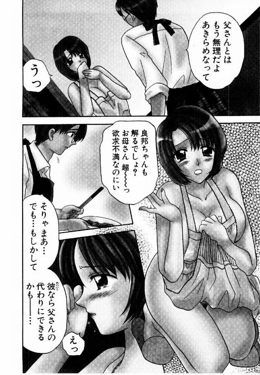 ハニーパイ Page.65