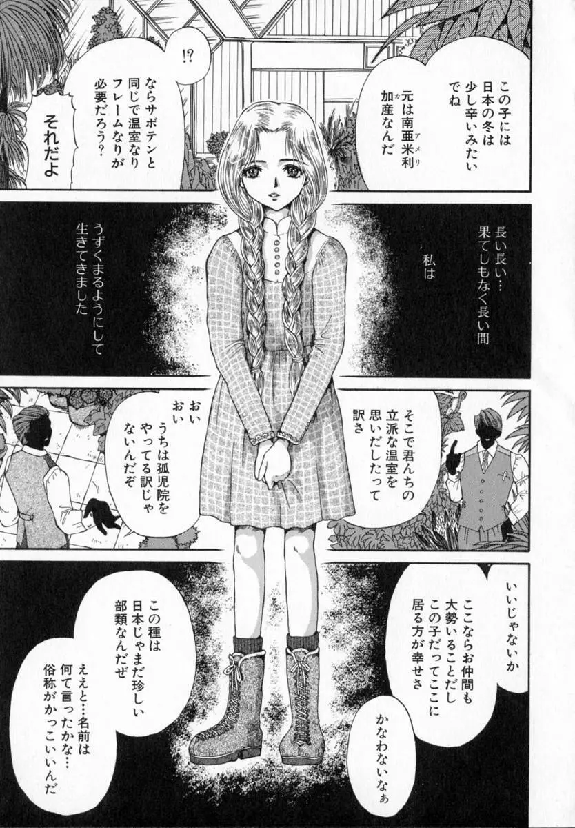 テラリウム Page.148