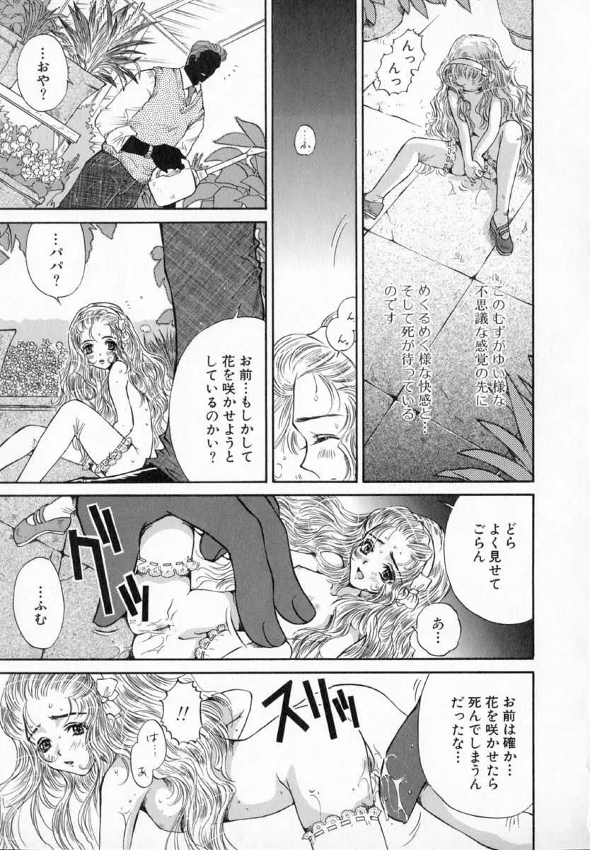 テラリウム Page.156