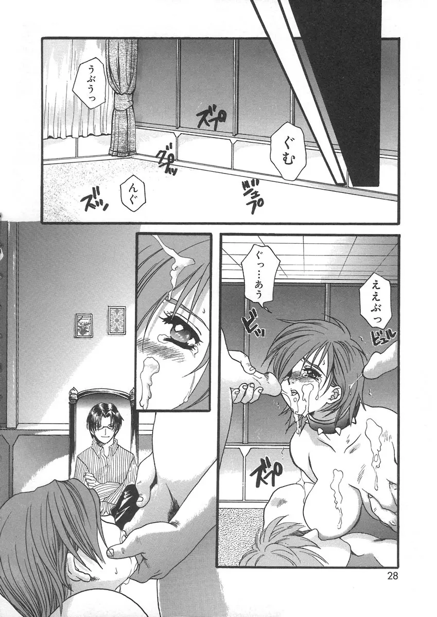 ハルジオン Page.28