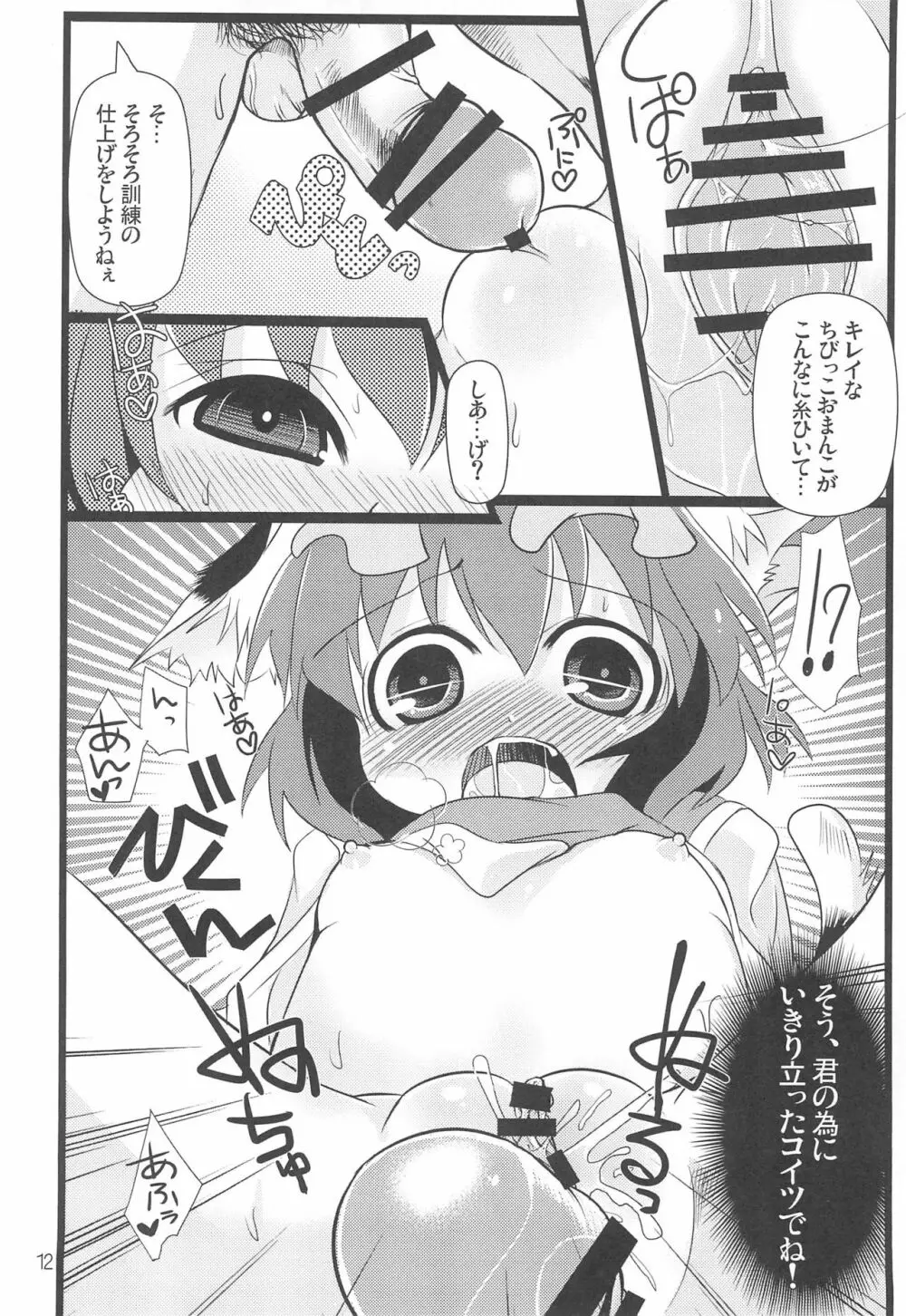 チェンクルスタースプライツ Page.12