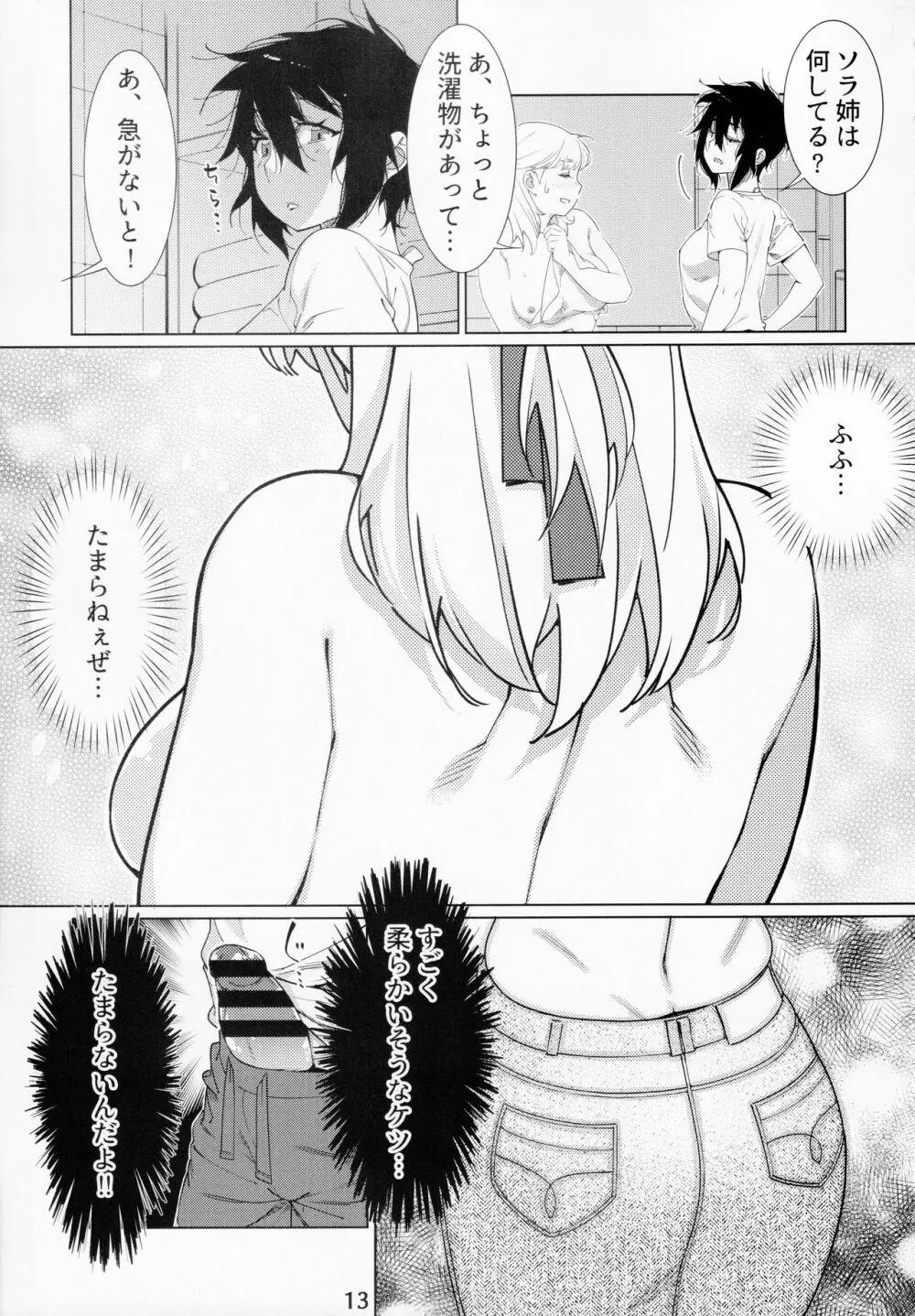 大人のおもちや14 Page.12