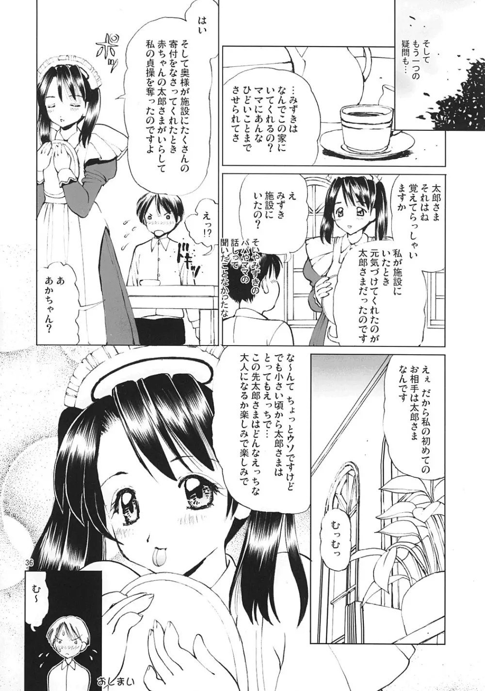 えっちなメイドさん3 -蹂躙編- Page.35