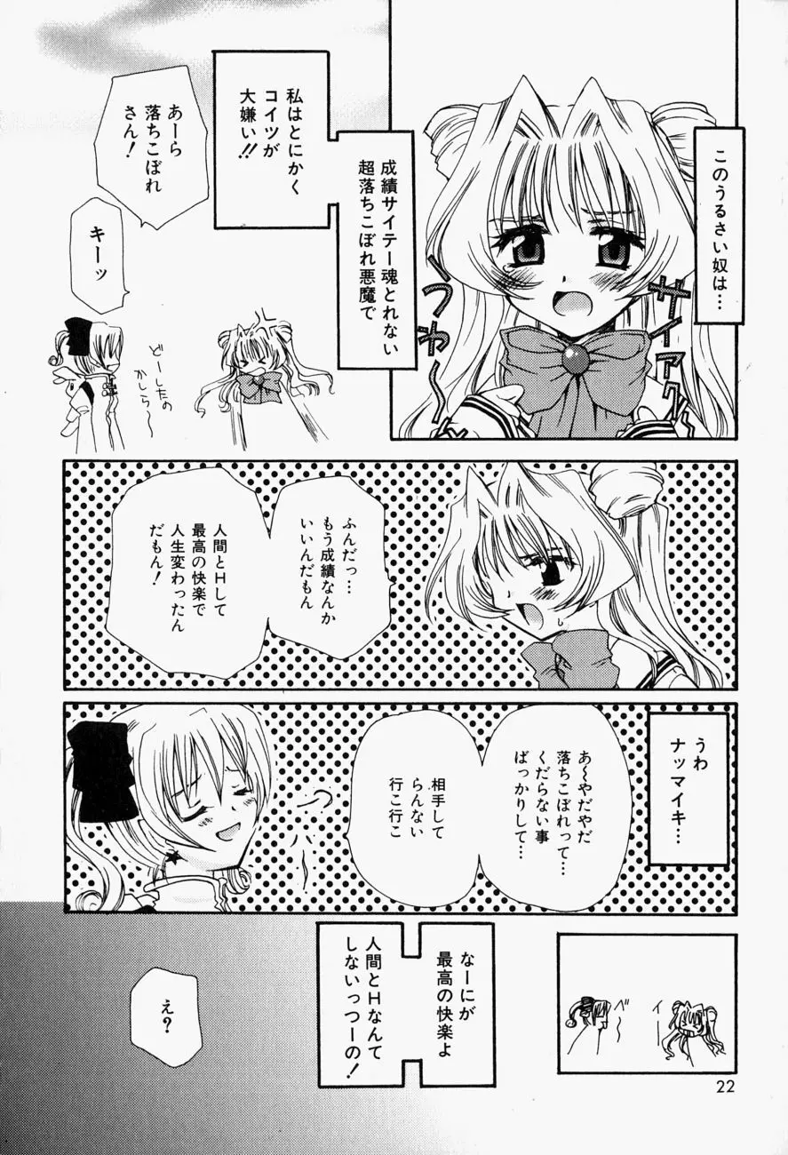 ひがわりランチ Page.21