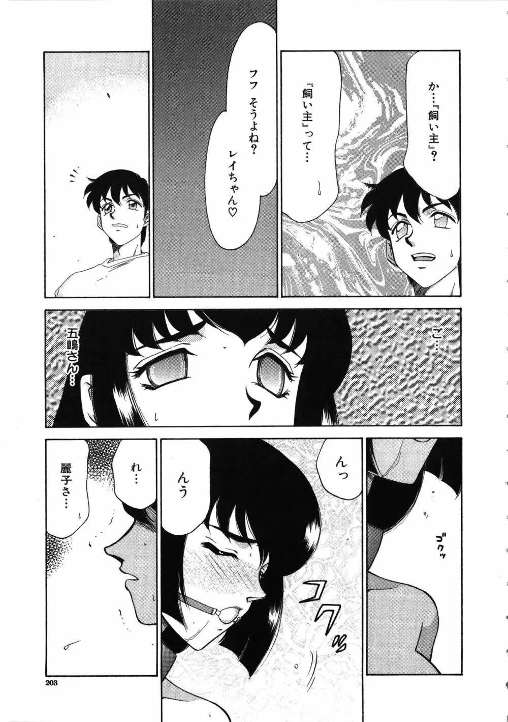 悠久の刻 Page.204