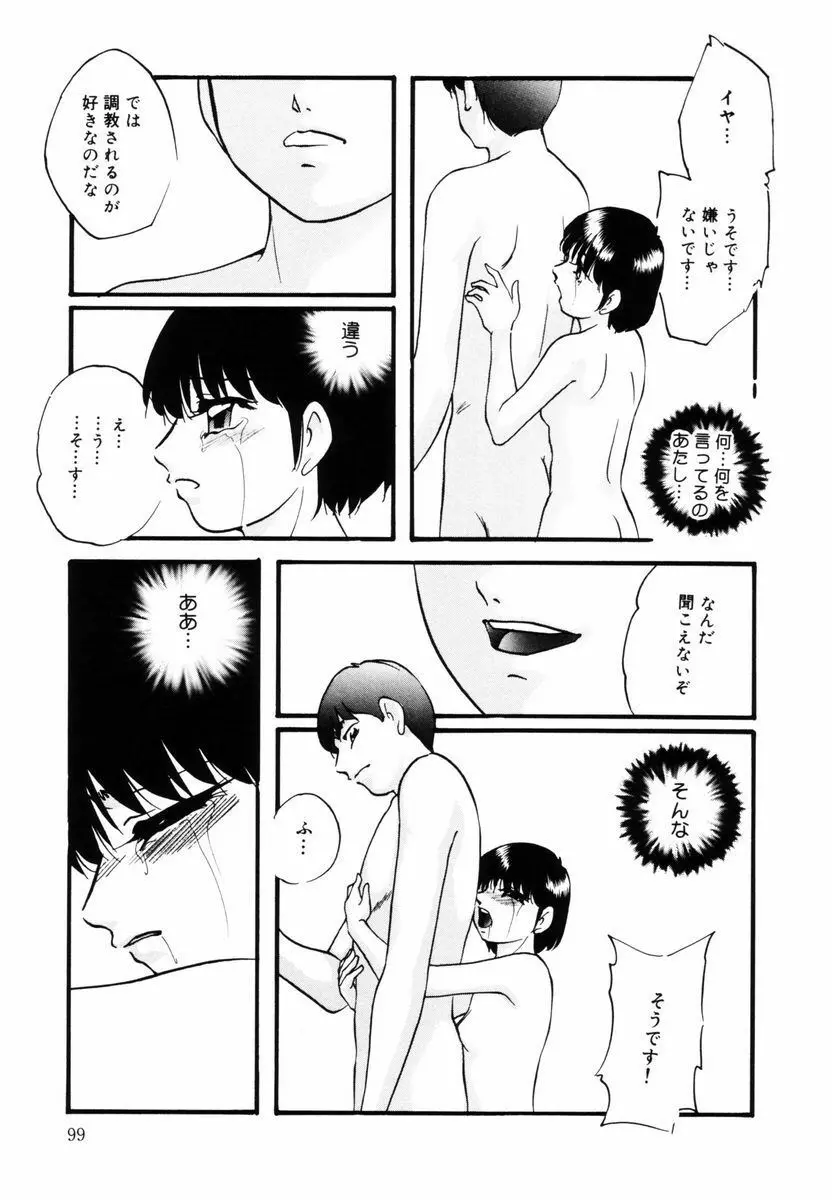 刻みこまれた調教 Page.100