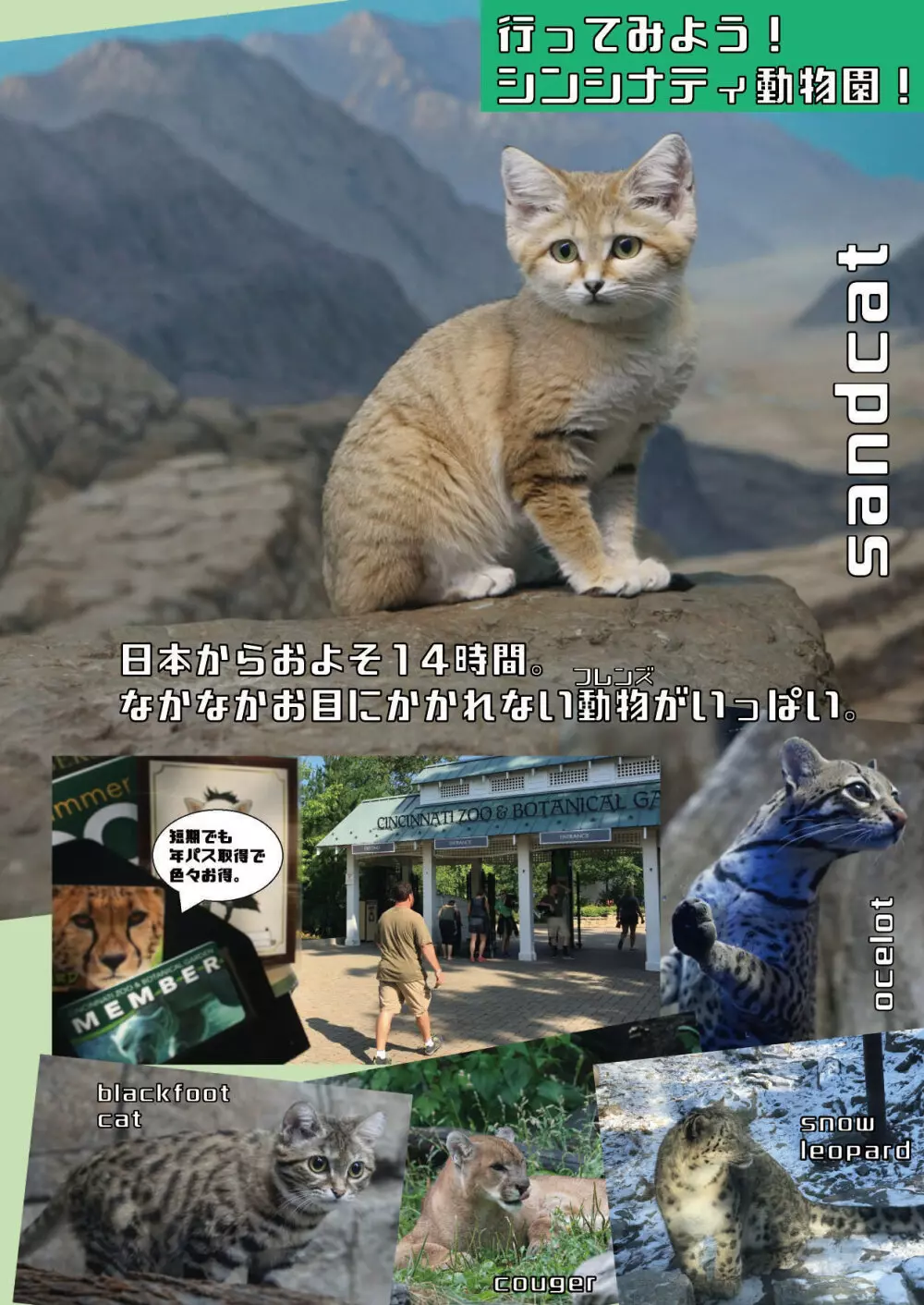 mayけものフレンズスレ合同誌 Page.150