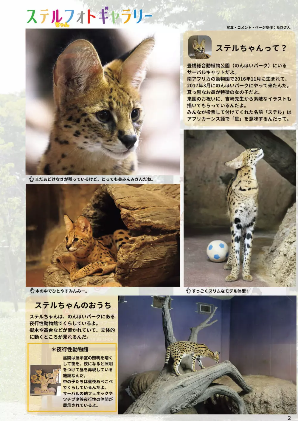 mayけものフレンズスレ合同誌 Page.4