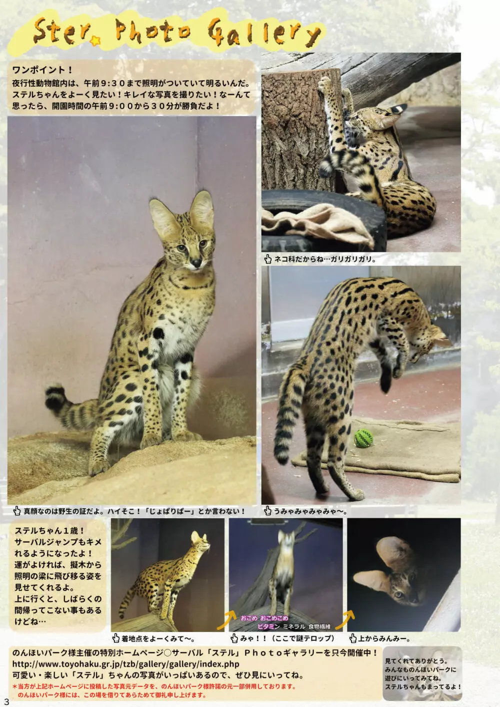 mayけものフレンズスレ合同誌 Page.5