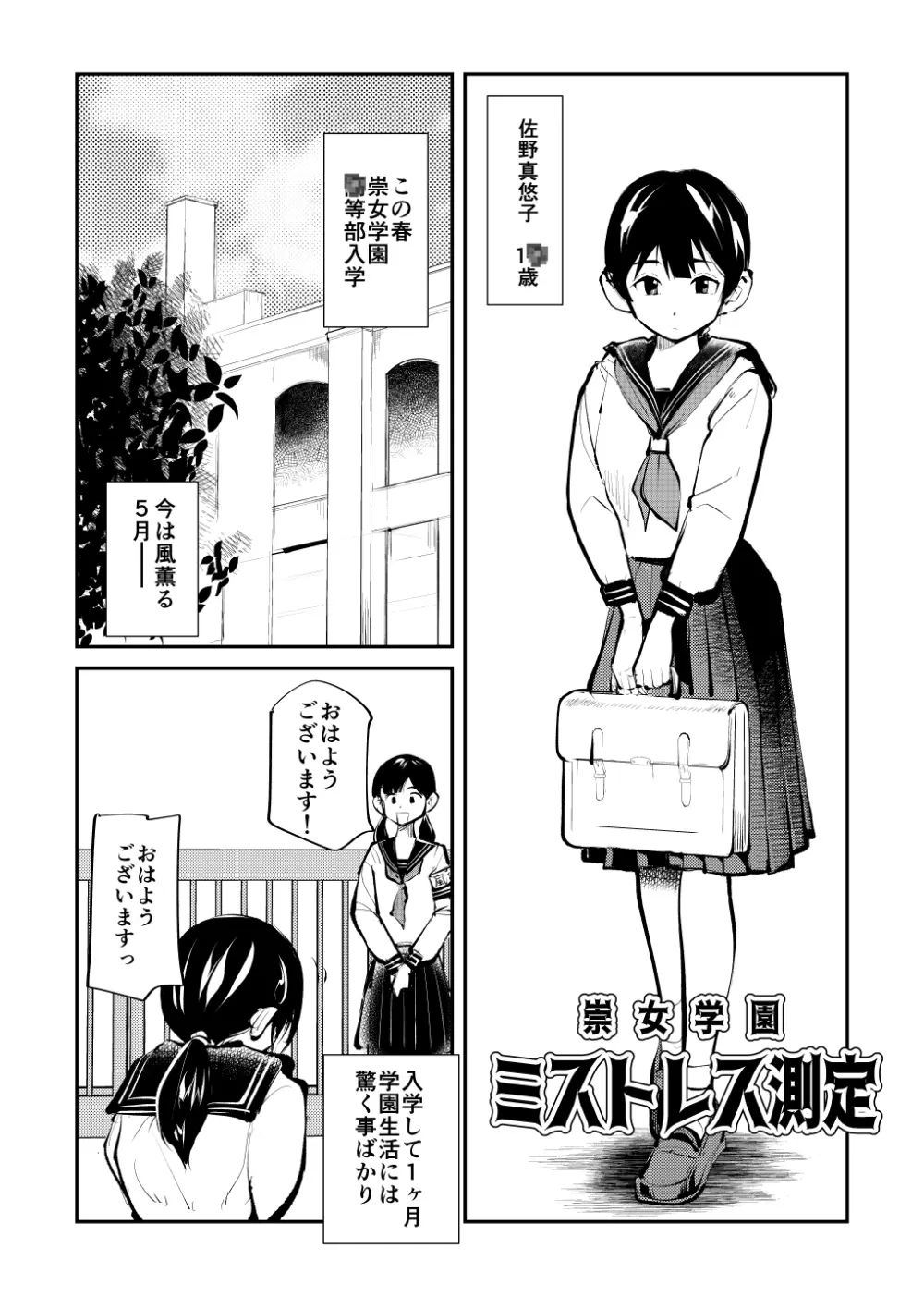 ミストレス測定 Page.1