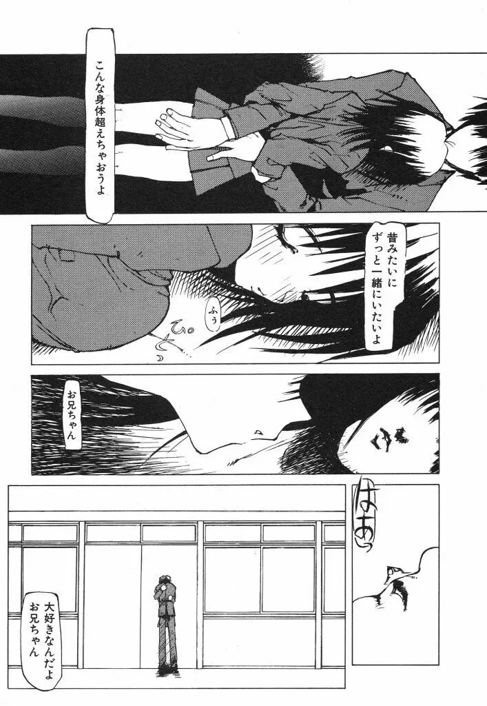 テクノエキス Page.55