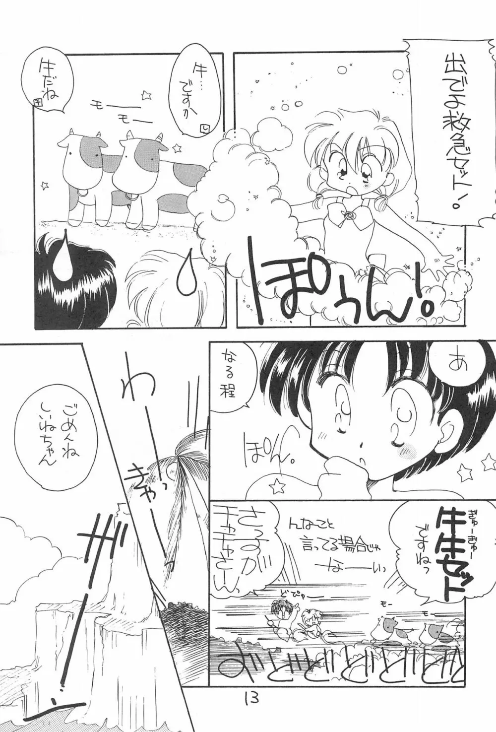 あーぱー・さんふらわー Page.13