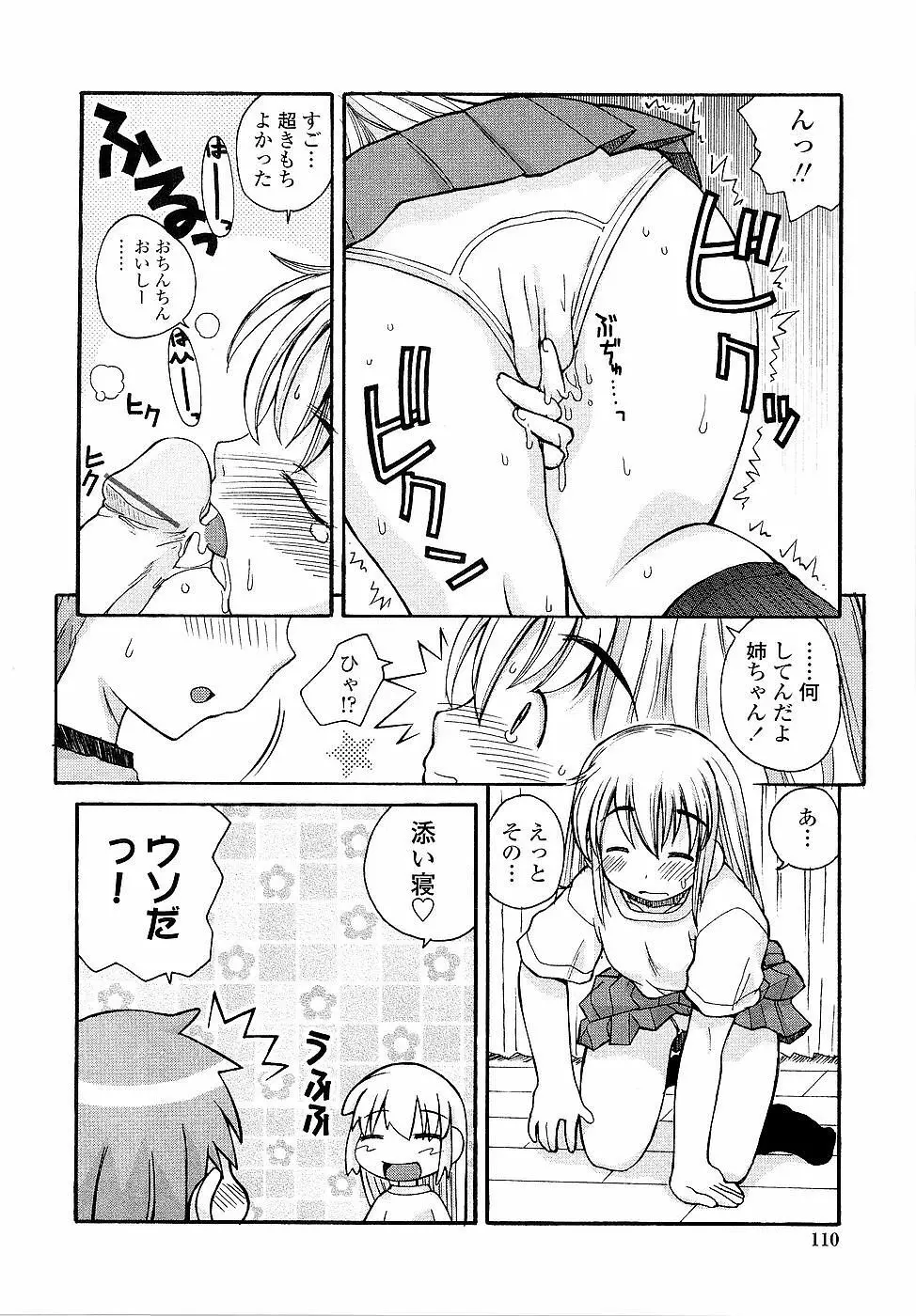 姉るせっくす Page.110