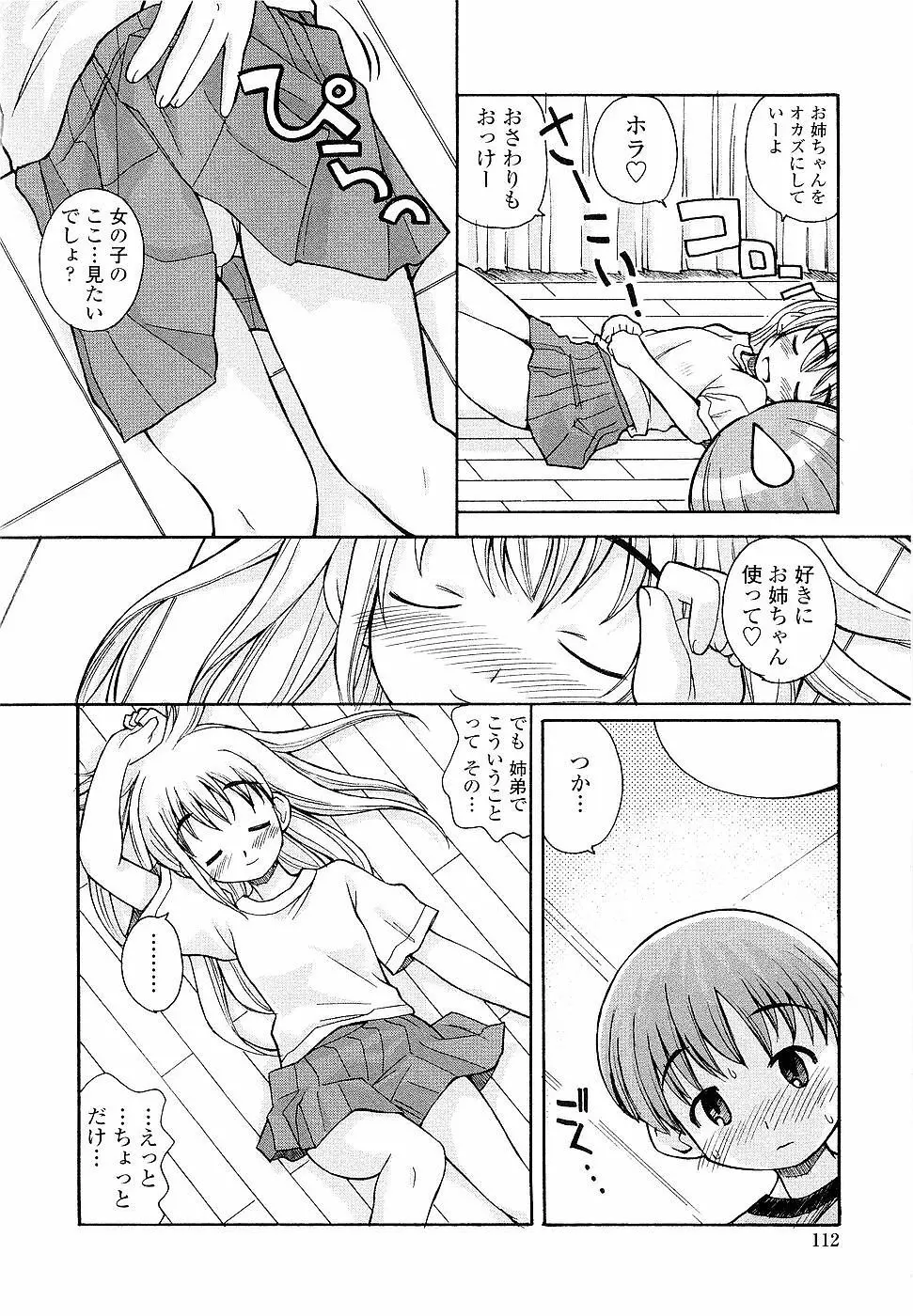 姉るせっくす Page.112