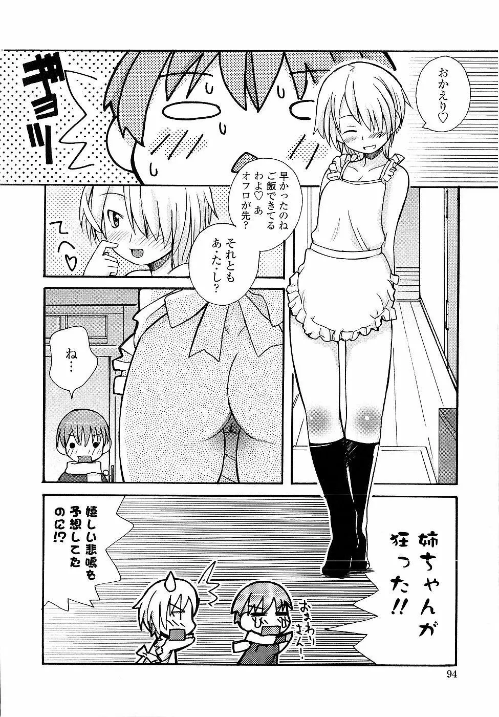 姉るせっくす Page.94