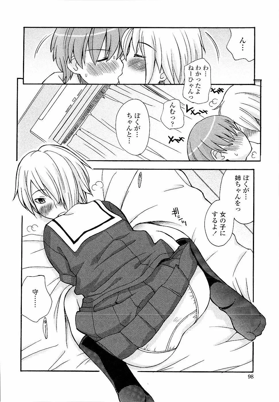 姉るせっくす Page.98