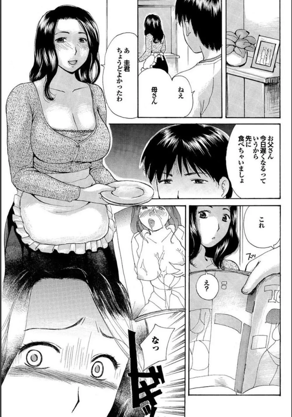 義母と叔母 この人妻コミックがすごい！【特別編集】 Page.13