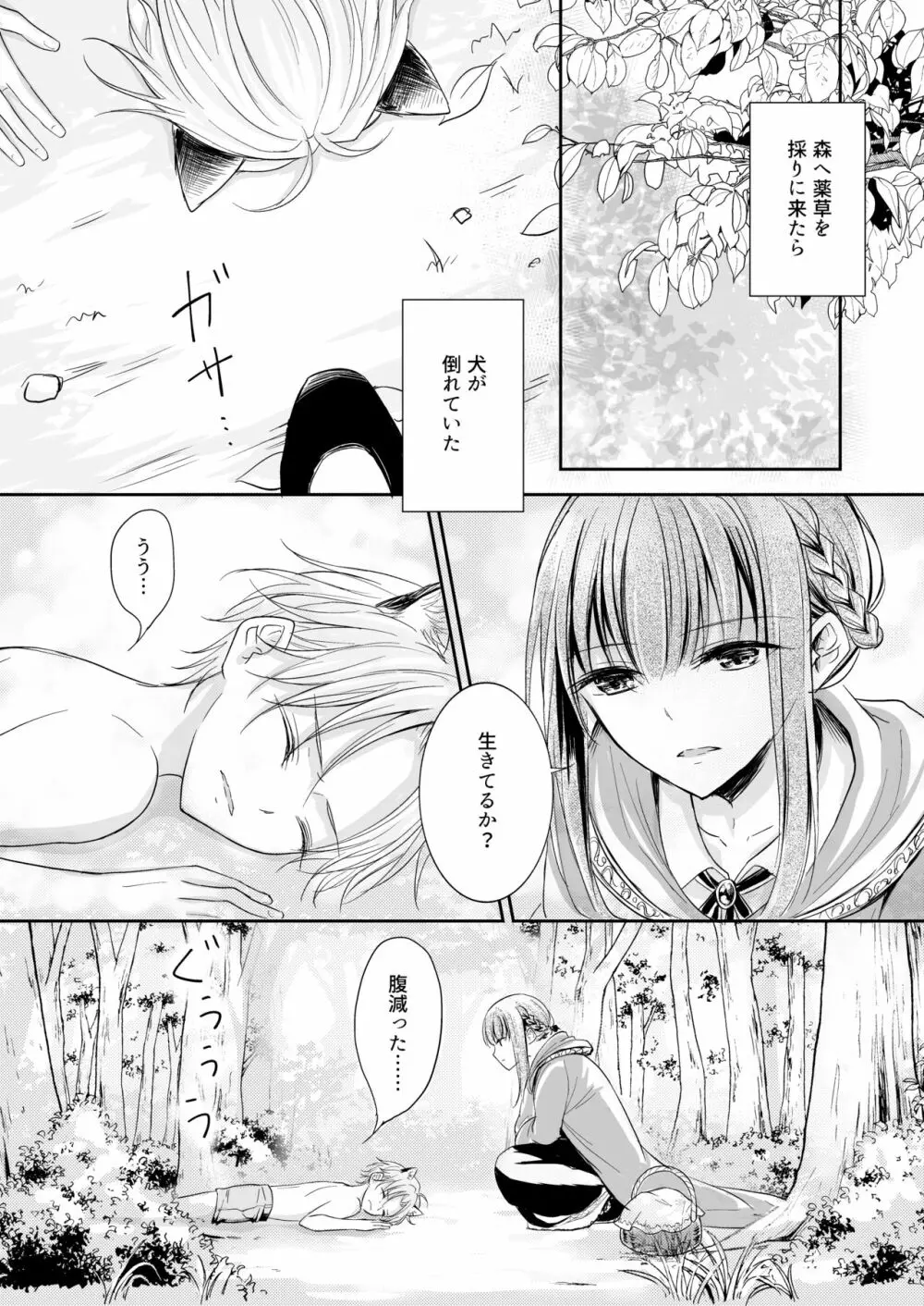 嫉妬～子犬を拾った魔女の話～ Page.3