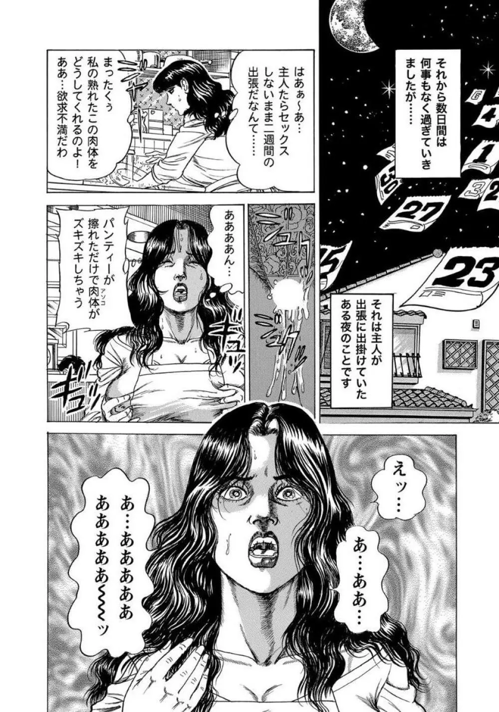 破廉恥奥様ステキに濡れ乱れ日記 Page.293