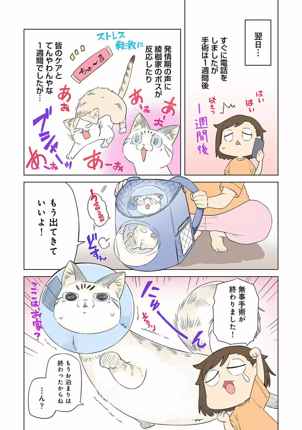 アナンガ・ランガ Vol. 75 Page.316