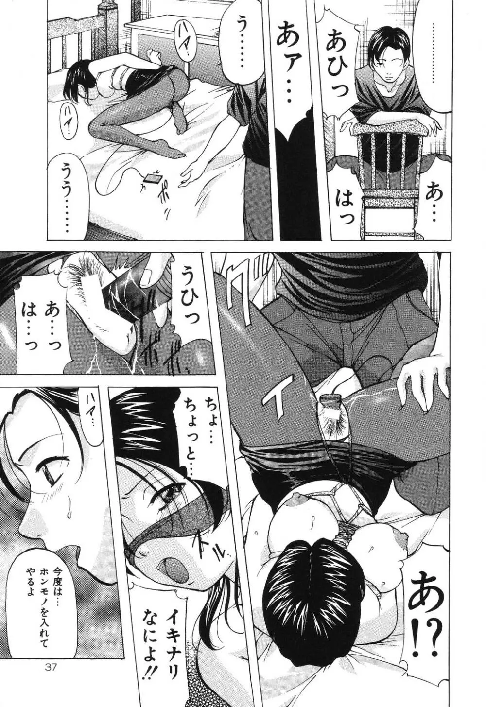 令嬢コレクション Page.37