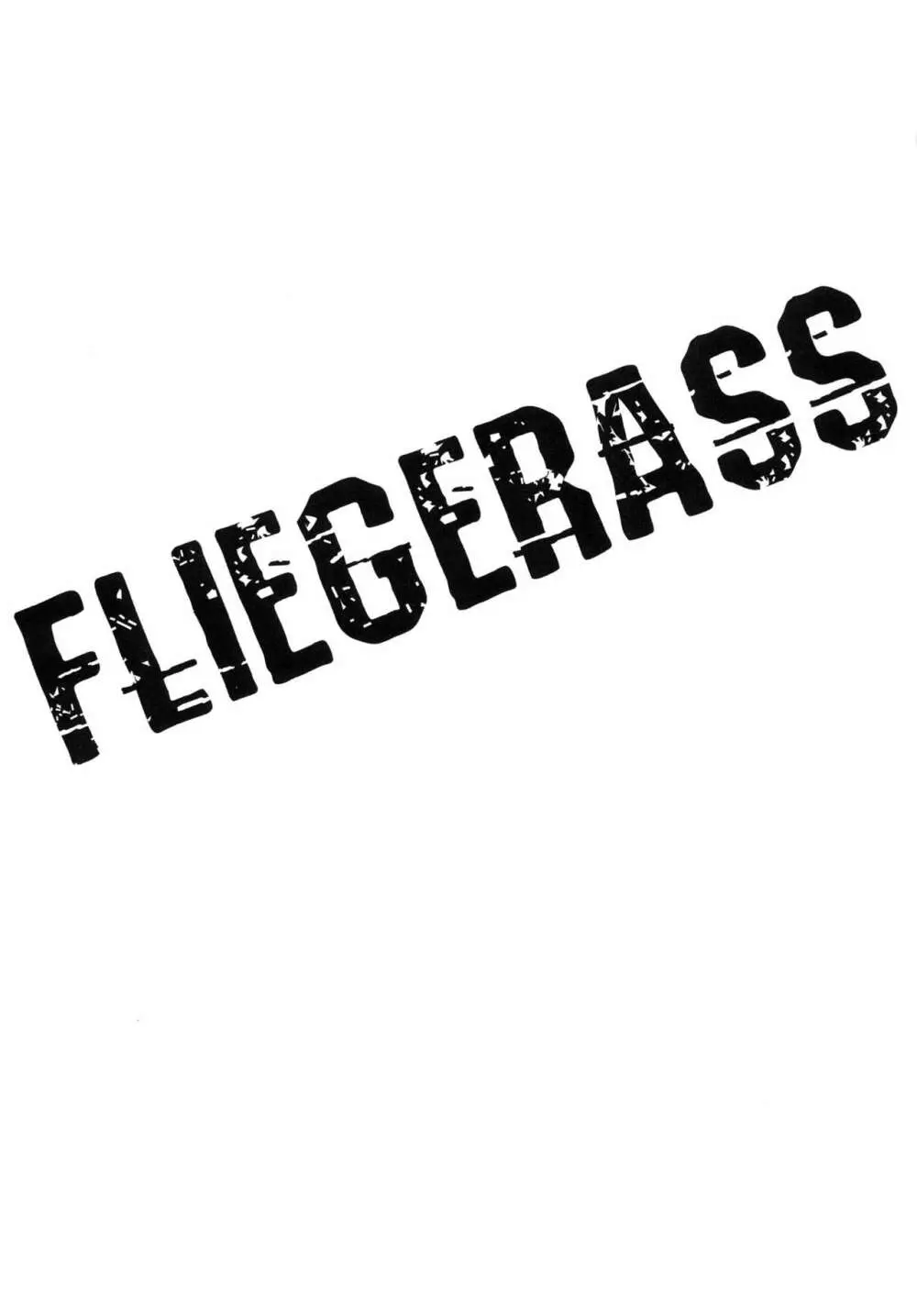 FLIEGERASS Page.3