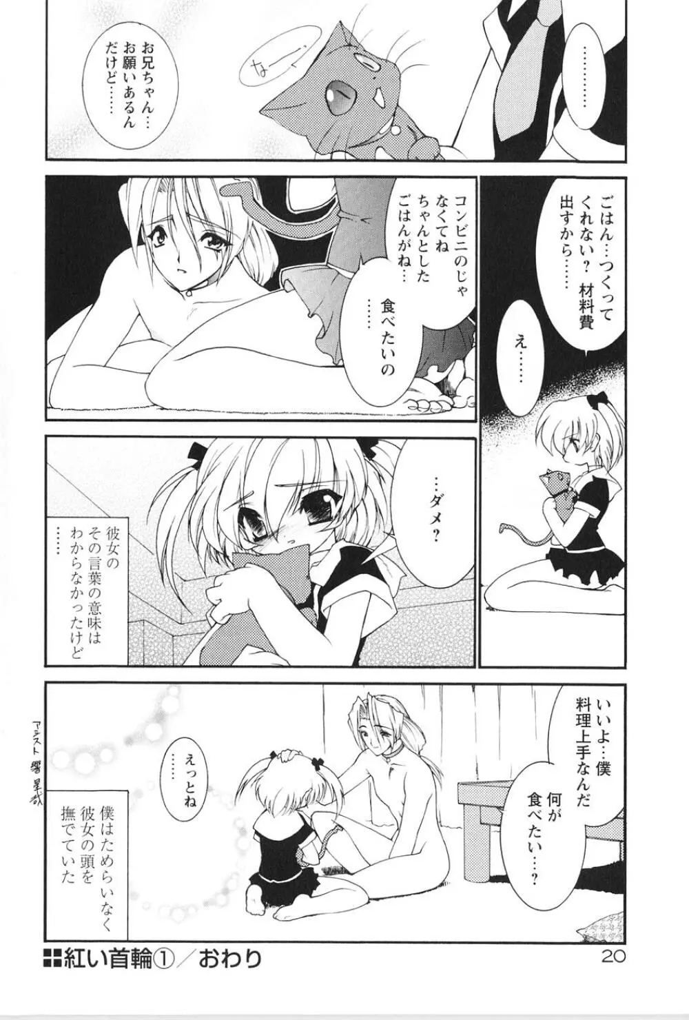 紅い首輪と代価のカタチ Page.24