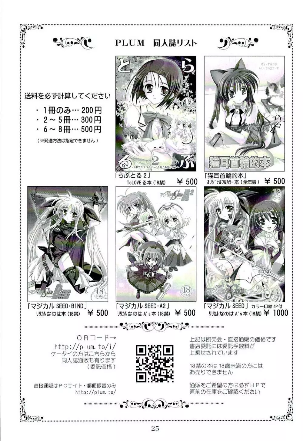 魔法少女マジカルSEED Z 反逆のなのは Page.24