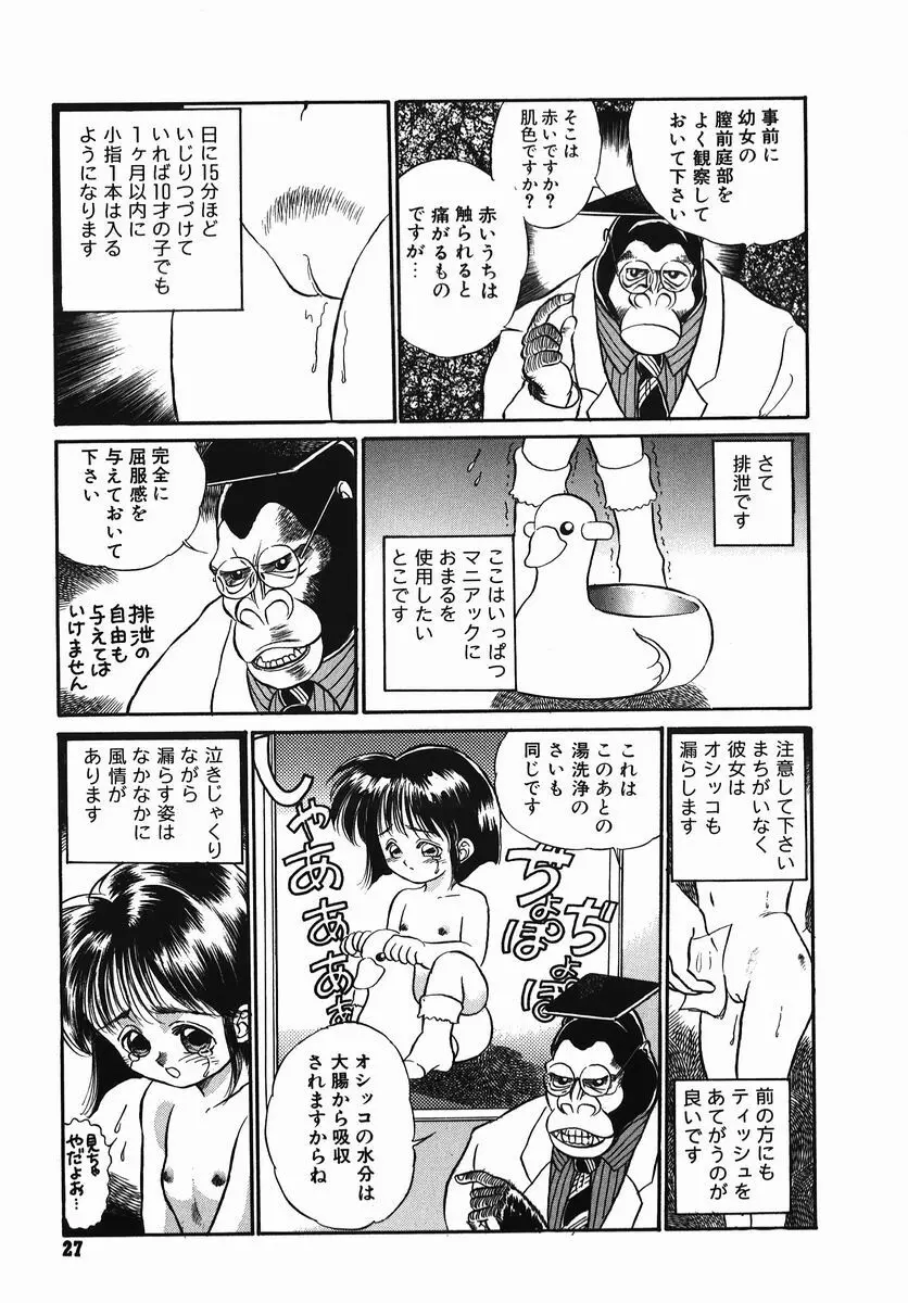 小さな玩具 Page.27