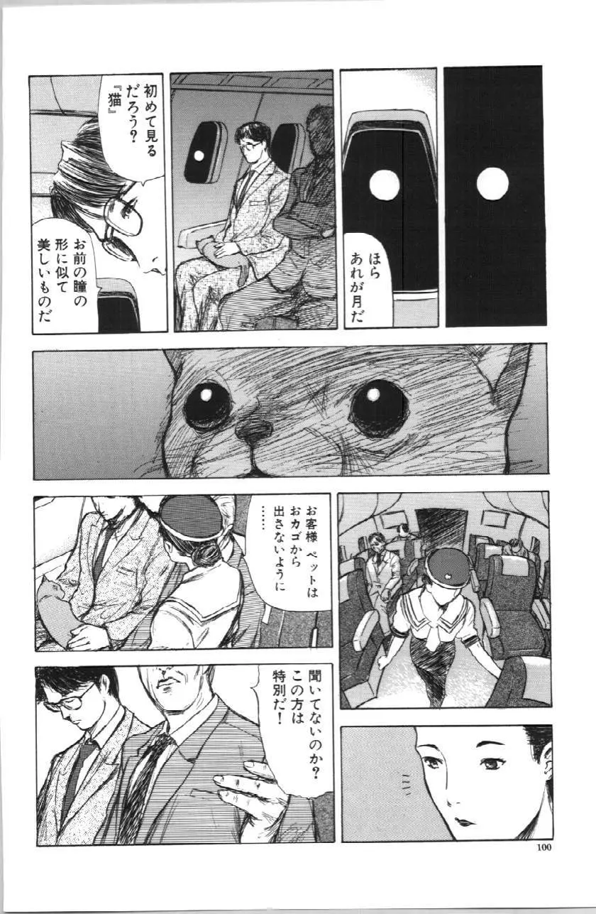 いとこ Page.100