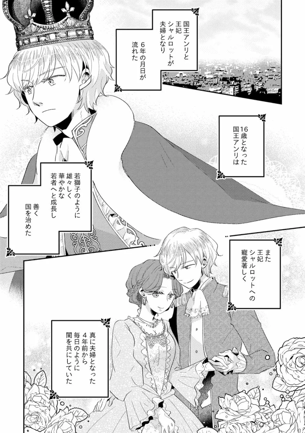 少年王と年上王妃 2 Page.3