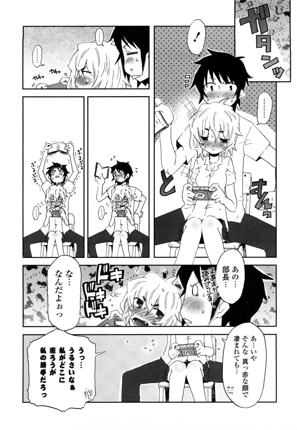 子猫たちと甘い午後を Page.144