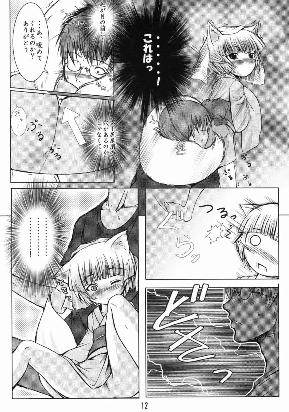 白狐の杜 Page.11