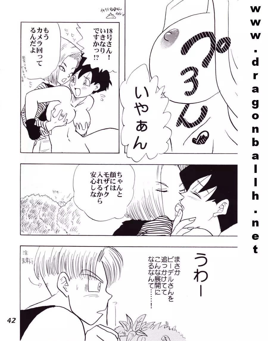 色鰐 Page.42