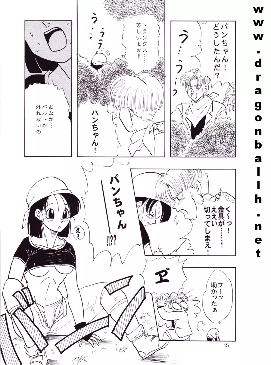 ZZ Page.25