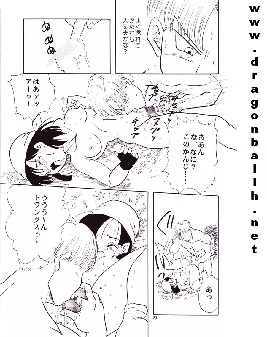 ZZ Page.29