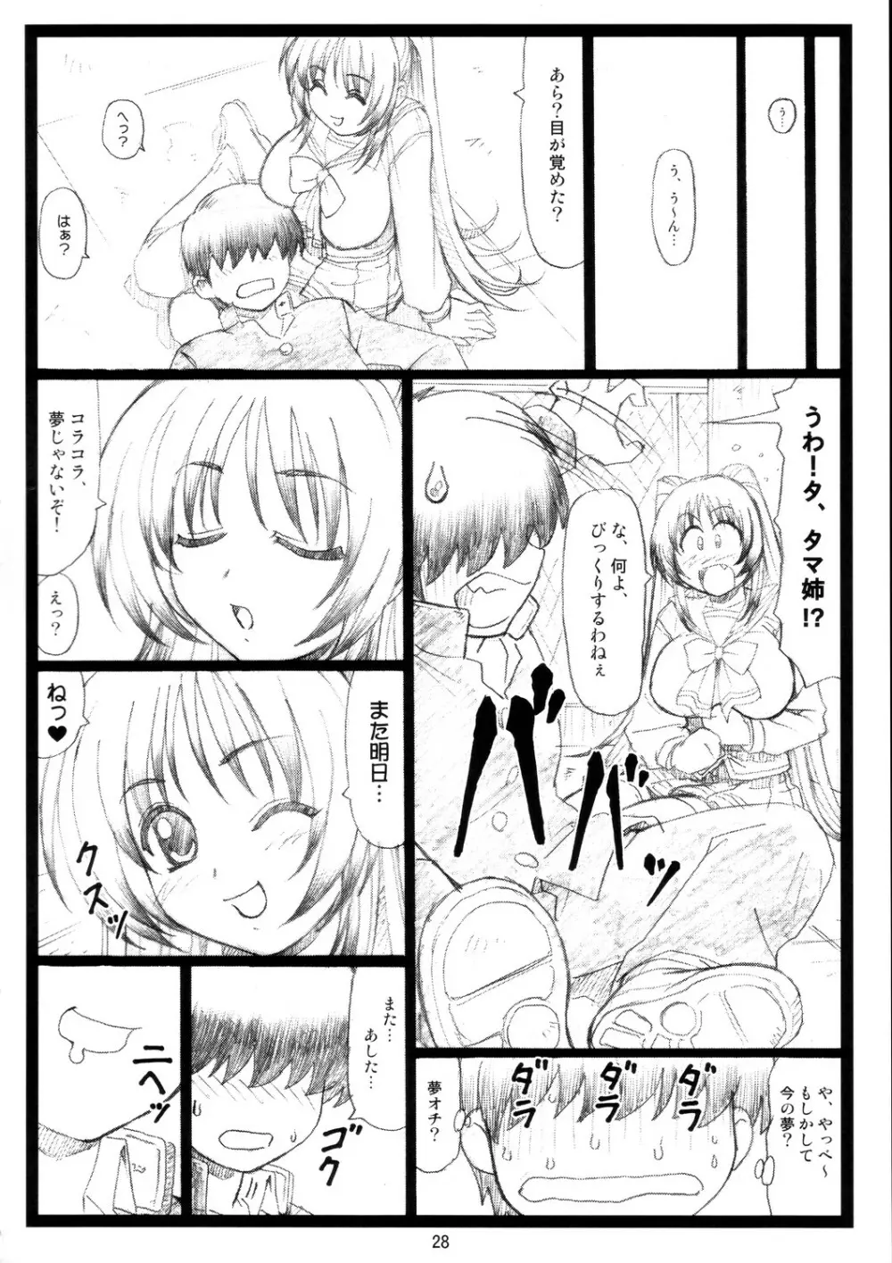 たまたま…ねっ Page.27