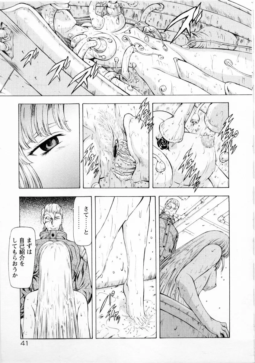 銀竜の黎明 VOL.2 Page.45