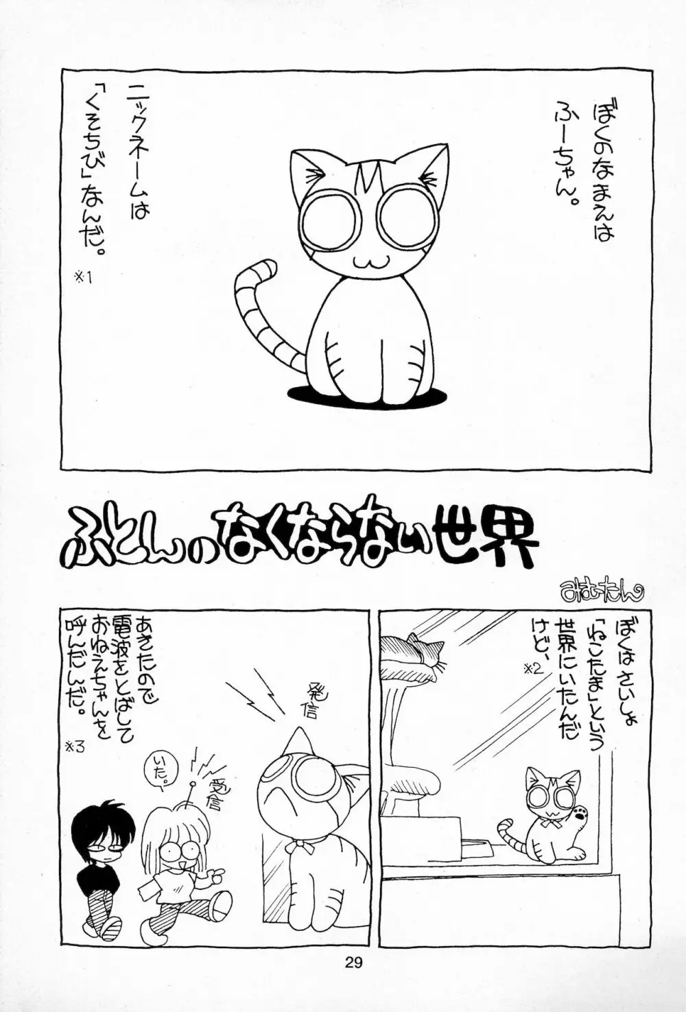 Plumule 幼芽 Page.29