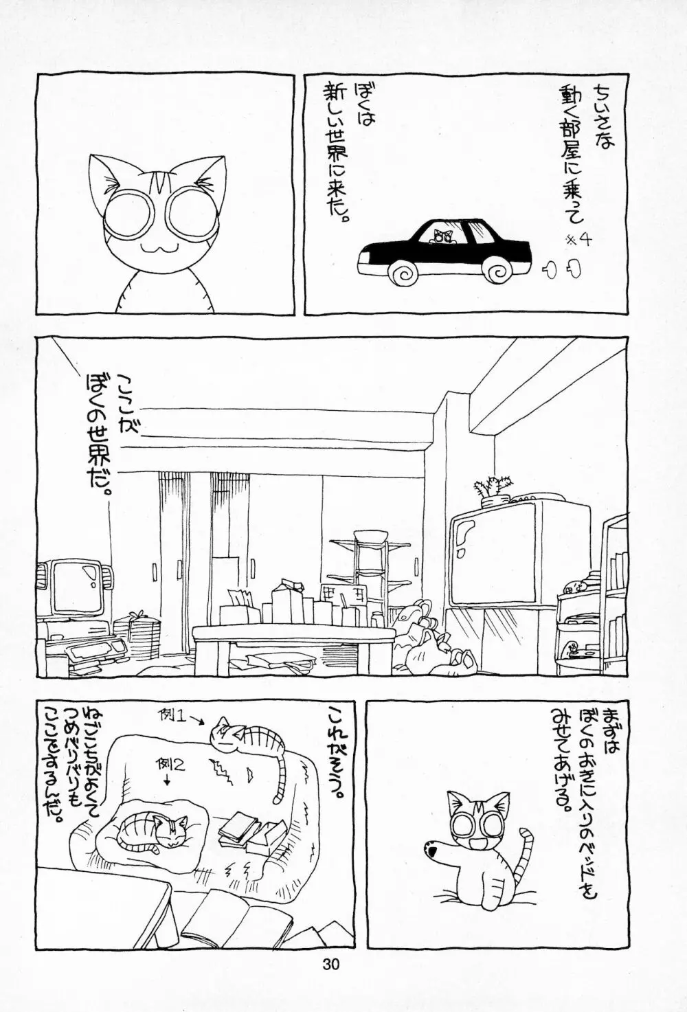 Plumule 幼芽 Page.30