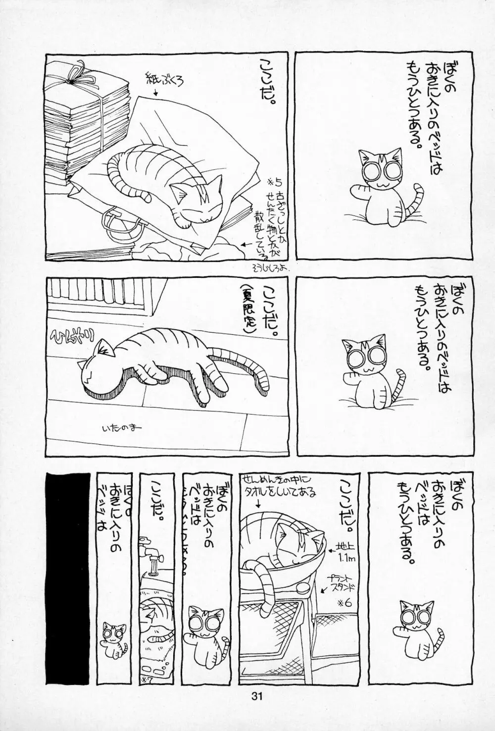 Plumule 幼芽 Page.31